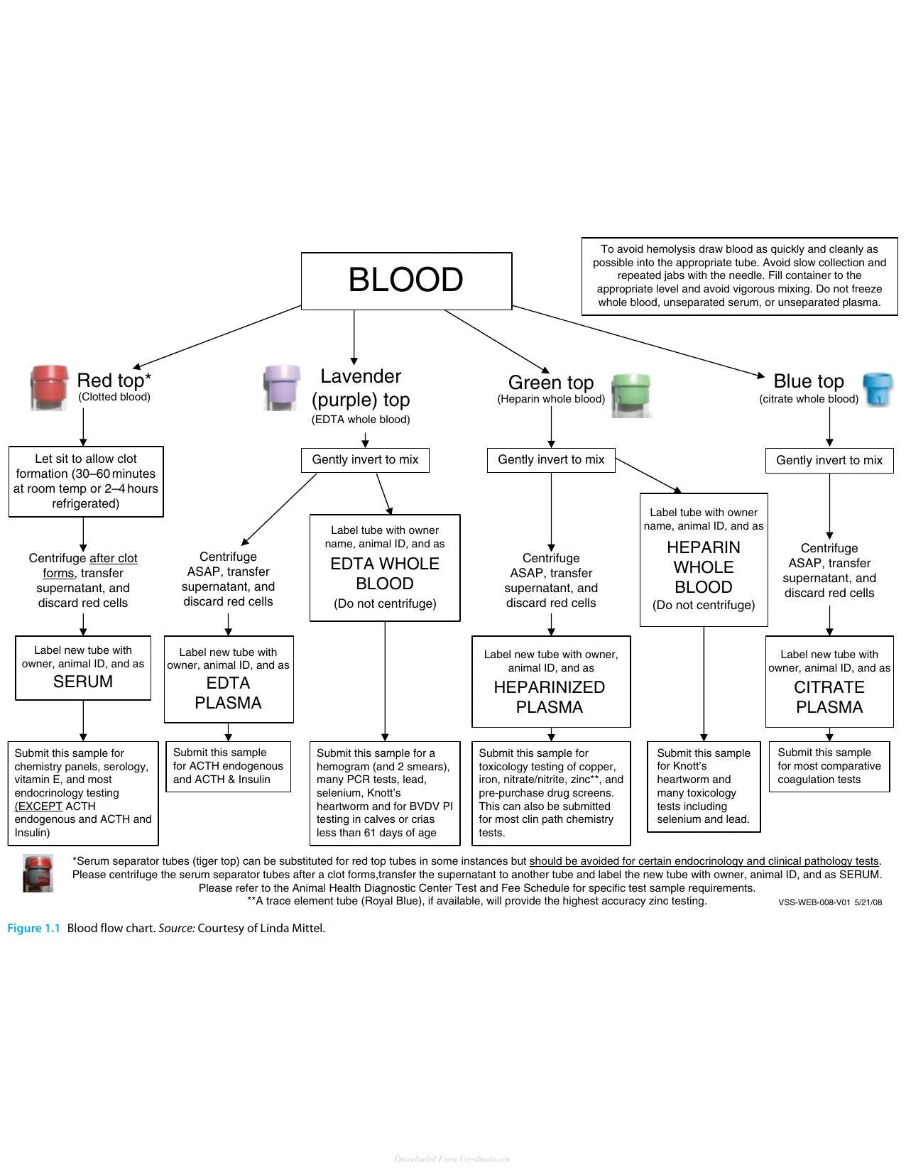 Interpretation Of Equine Laboratory Diagnostics