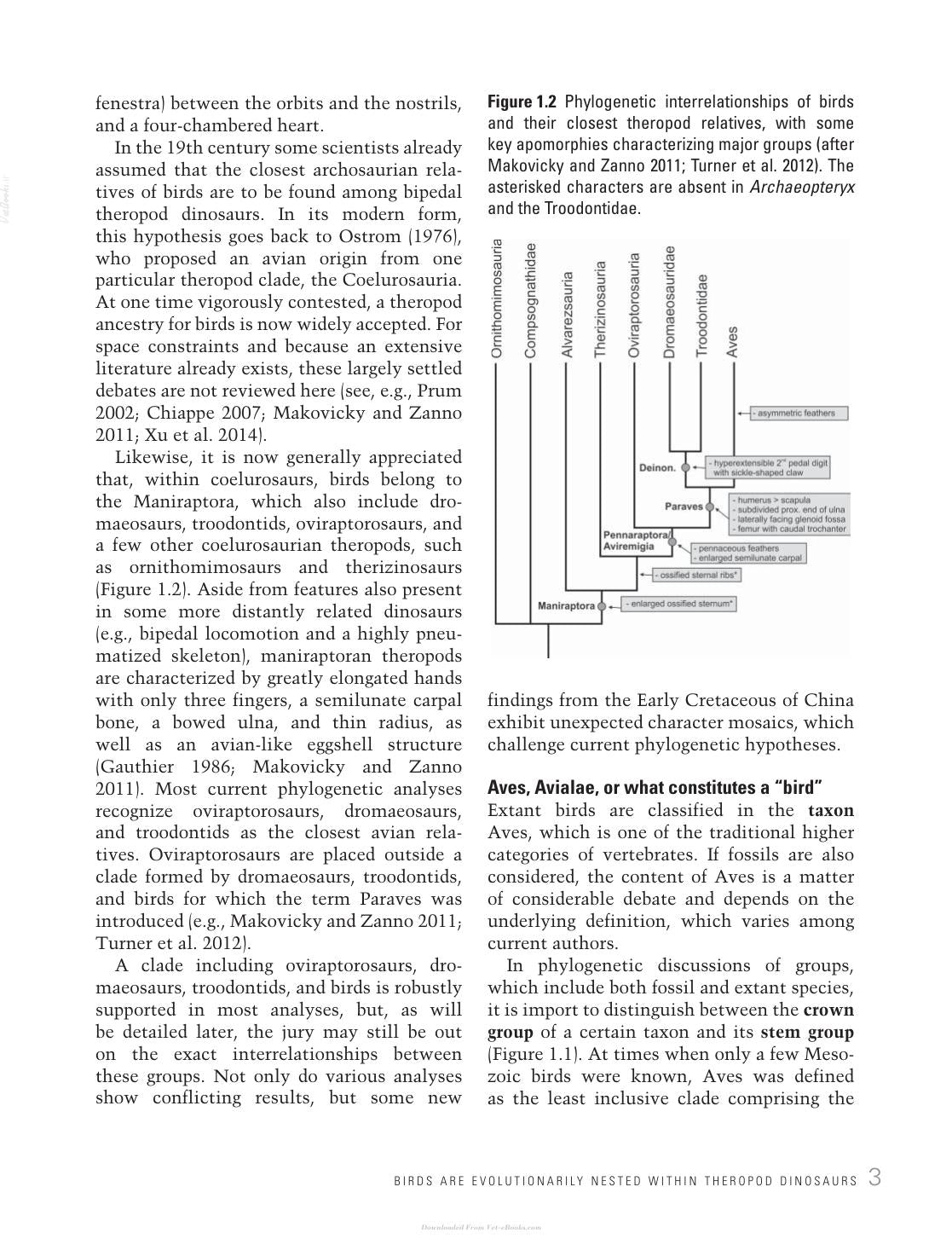 Avian Evolution The Fossil Record Of Birds And Its Paleobiological Significance