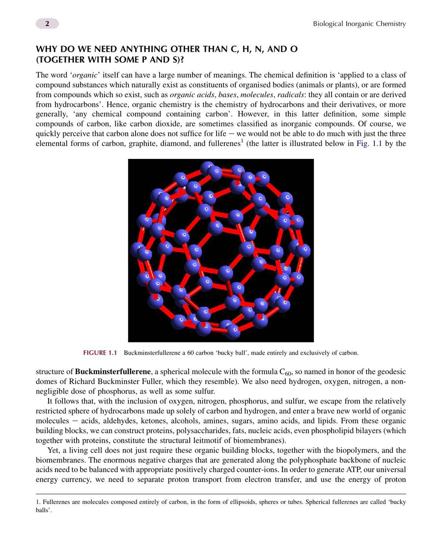 Preview page of Biological Inorganic Chemistry a New Introduction to Molecular Structure and Function 2nd Edition