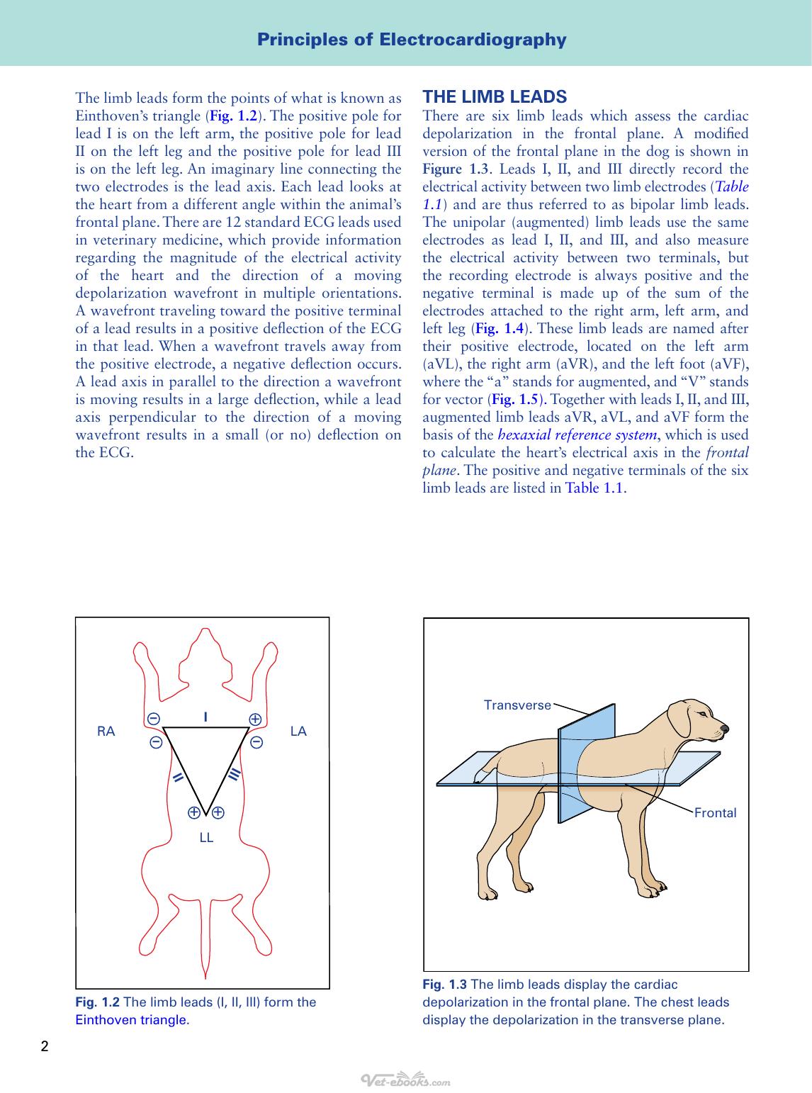 Look inside — page 15