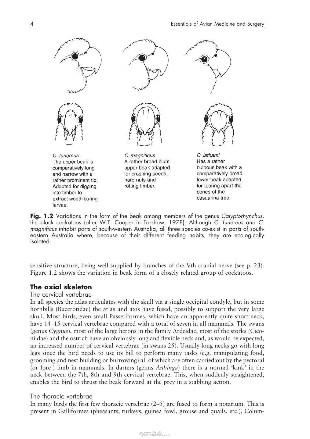 Look inside — page 15