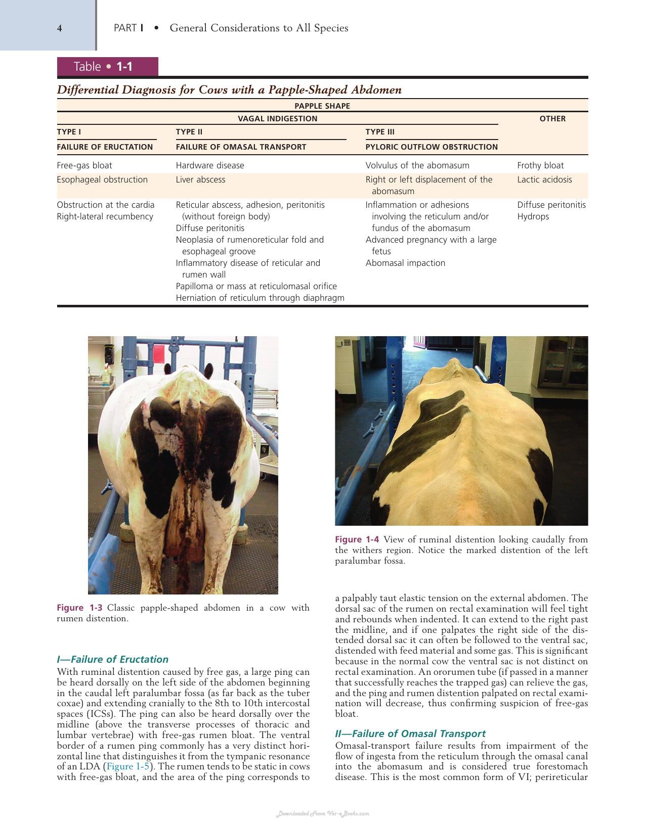 Farm Animal Surgery 2Nd Edition