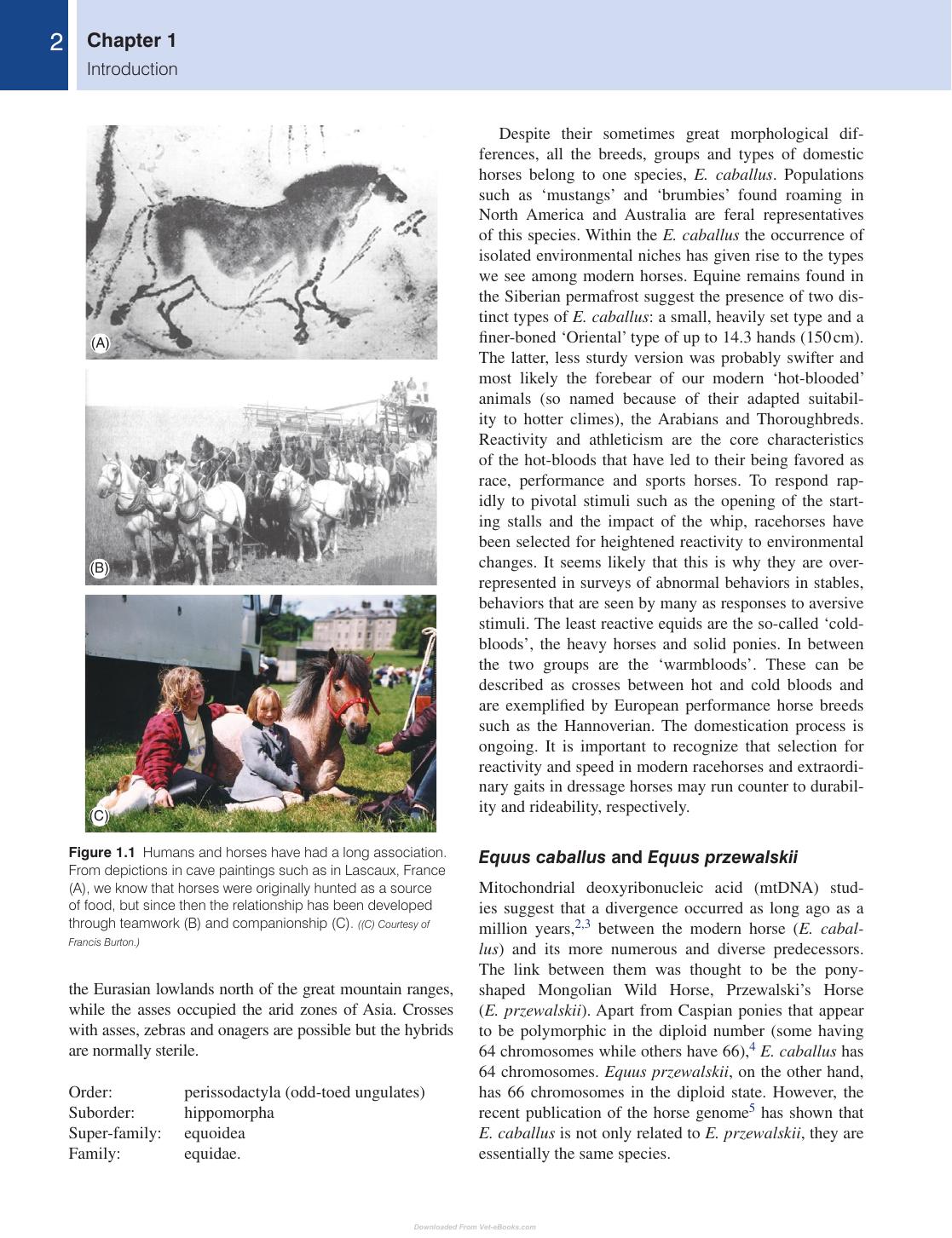 Equine Behavior A Guide For Veterinarians And Equine Scientists 2Nd Edition