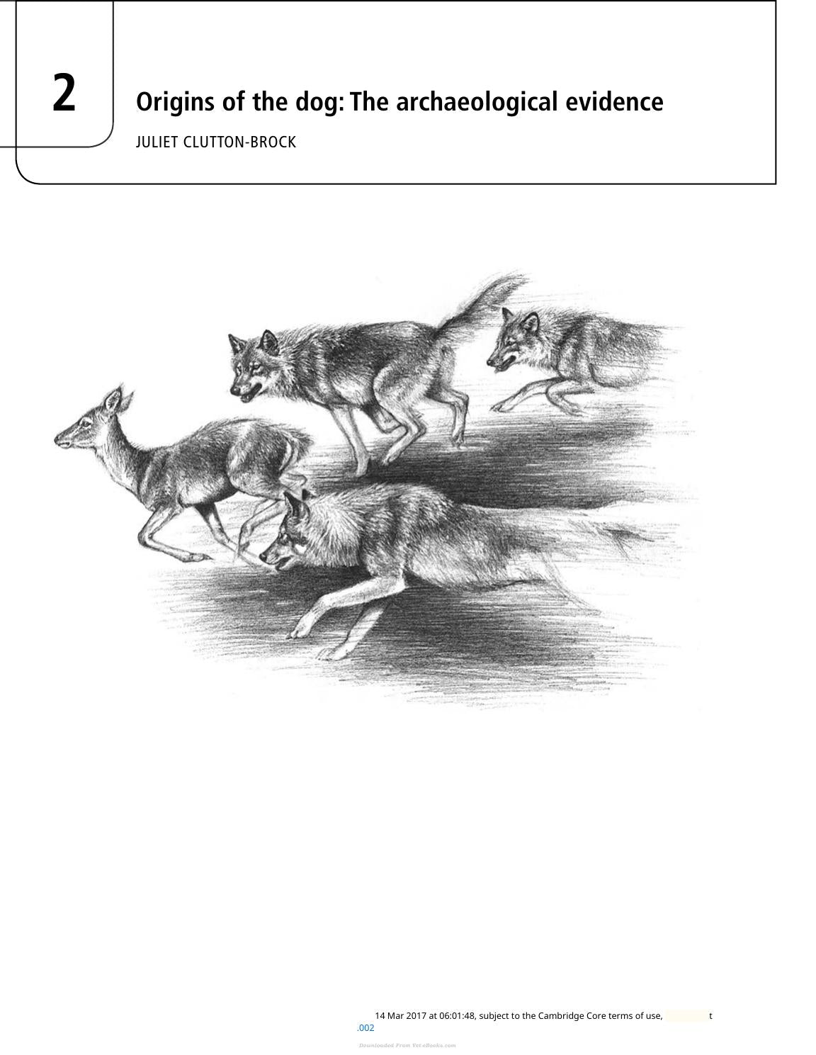 The Domestic Dog Its Evolution Behavior And Interactions With People 2Nd Edition