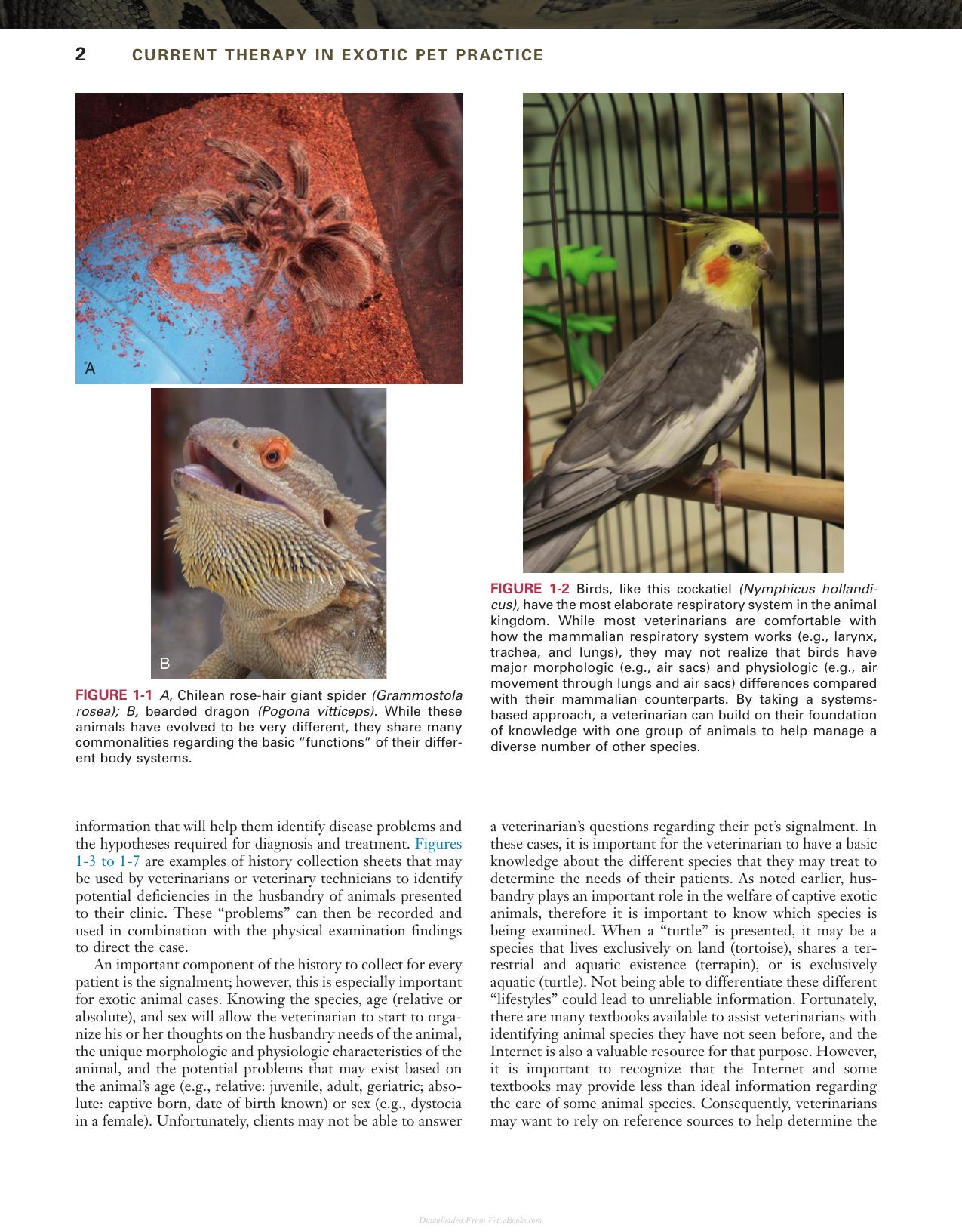 Current Therapy In Exotic Pet Practice