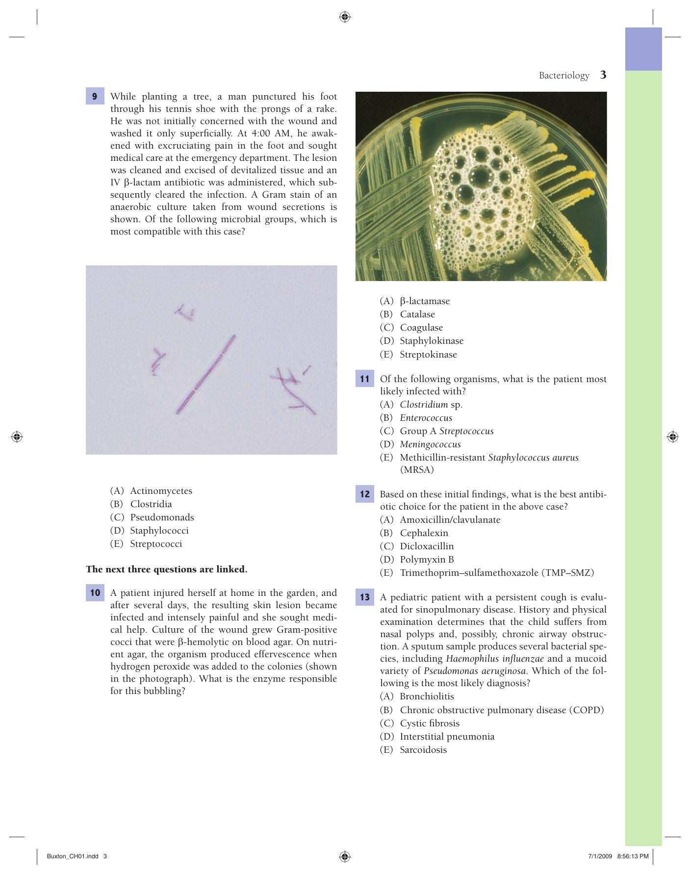 Lippincotts Illustrated Qa Review of Microbiology and Immunology