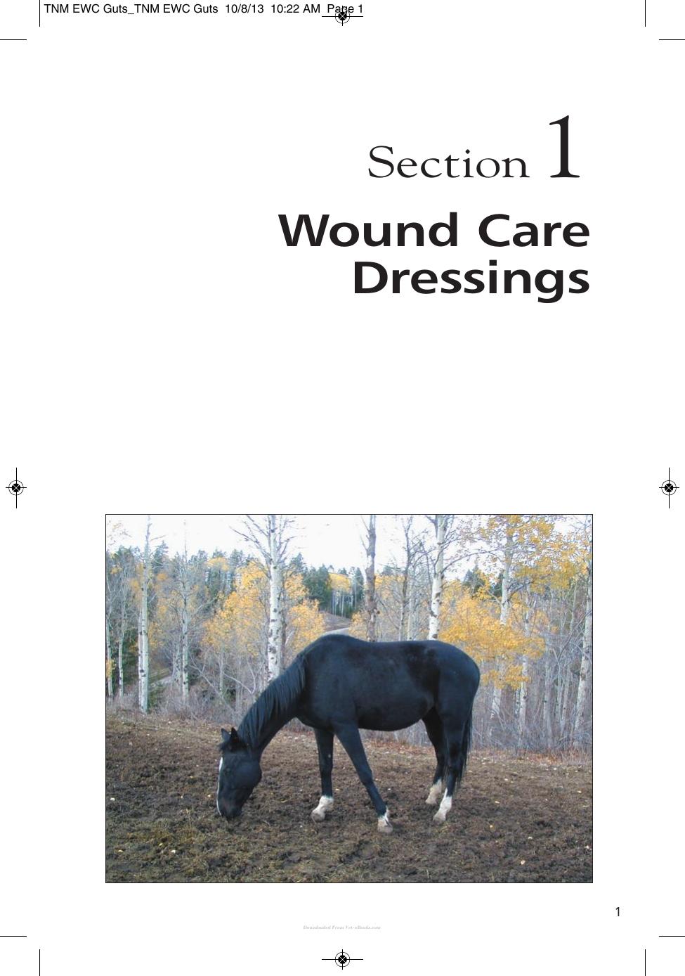 Wound Care Management For The Equine Practitioner