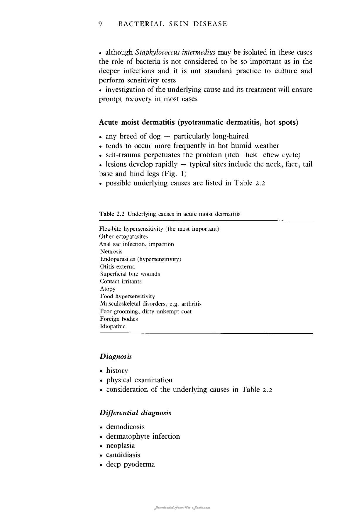 Skin Diseases In The Dog An Cat 2Nd Edition