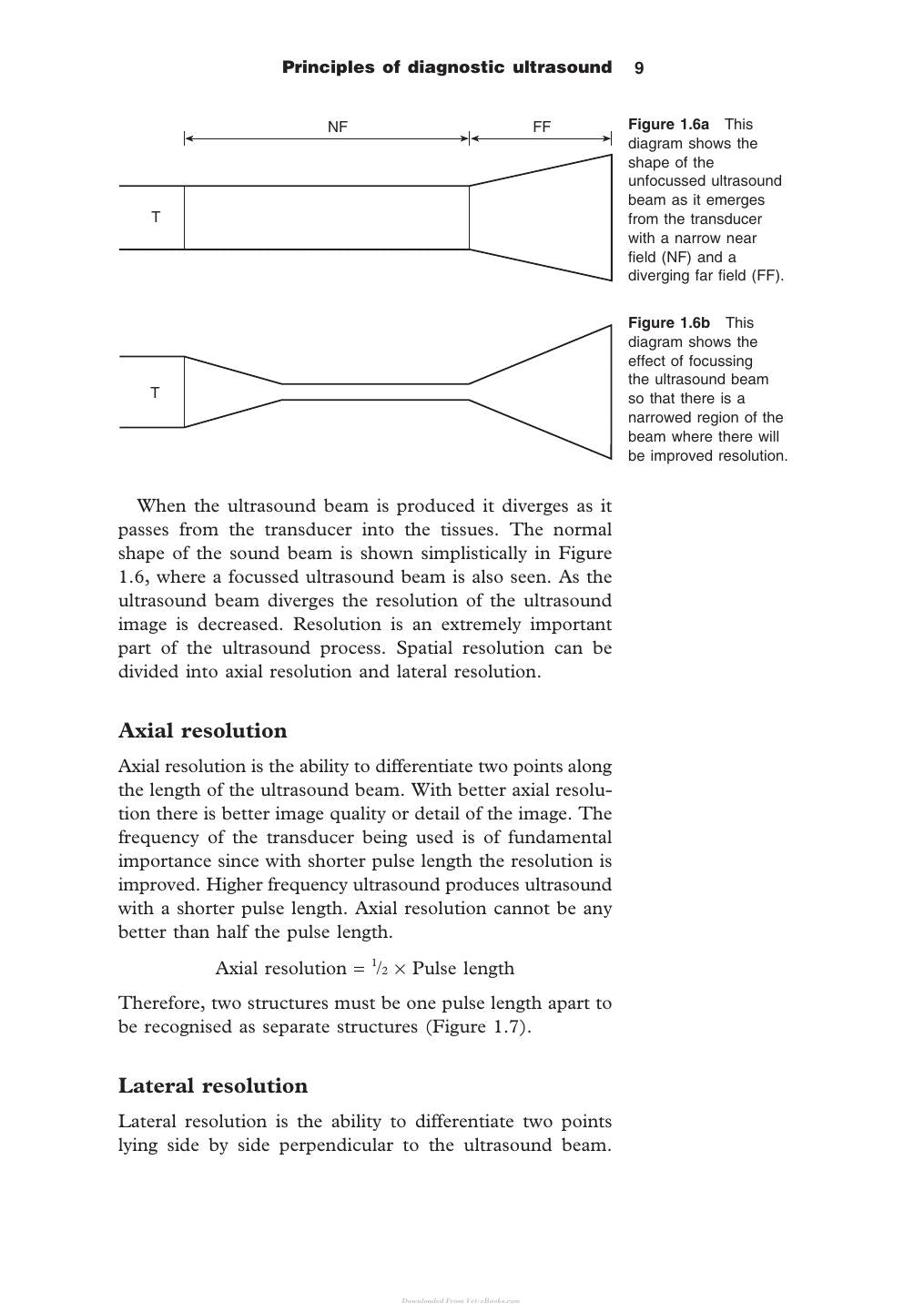 Diagnostic Ultrasound In Small Animal Practice