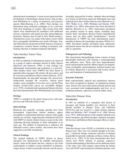 Nonhuman Primates in Biomedical Research Volume 2 Diseases 2nd Edition