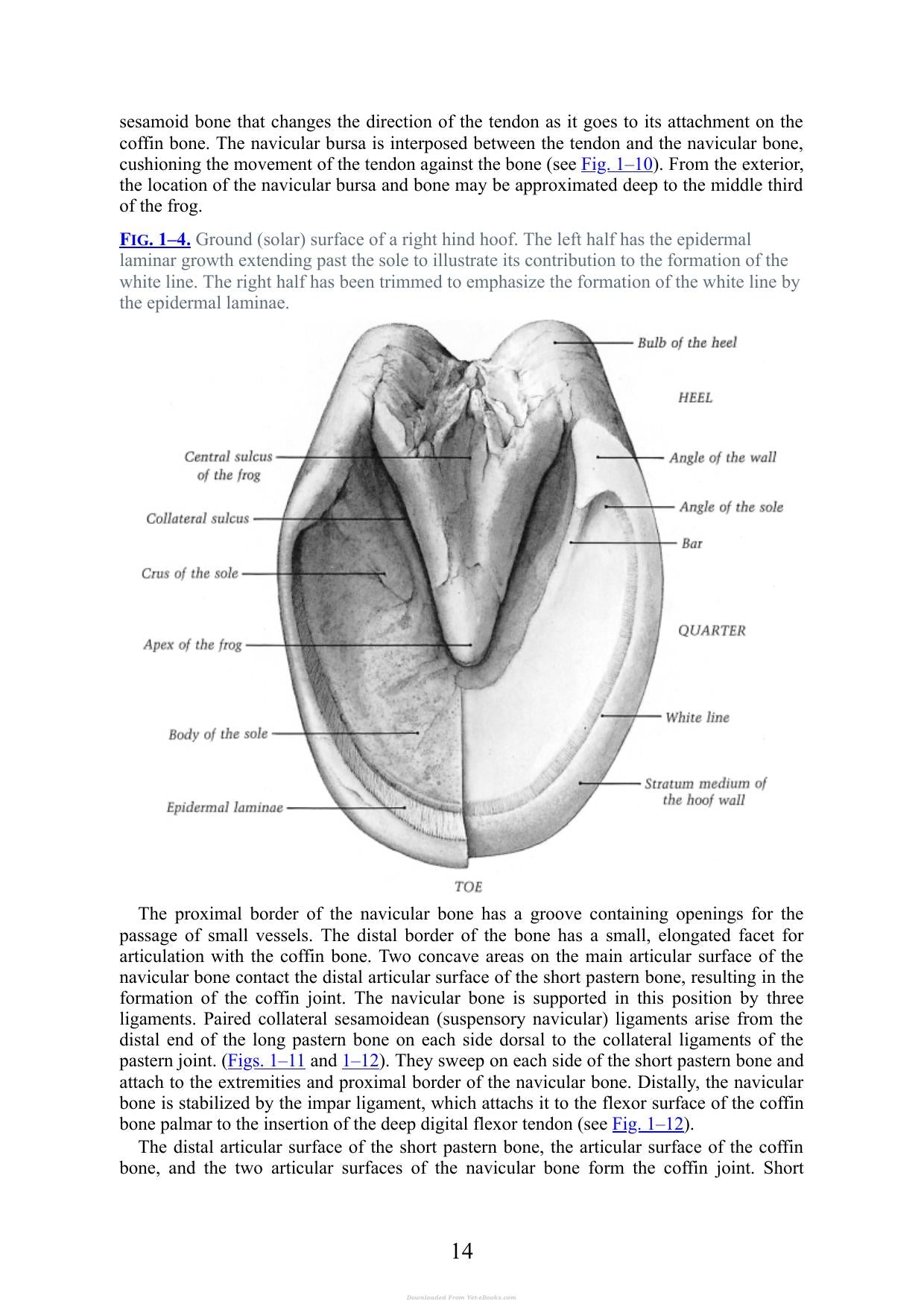 Look inside — page 15