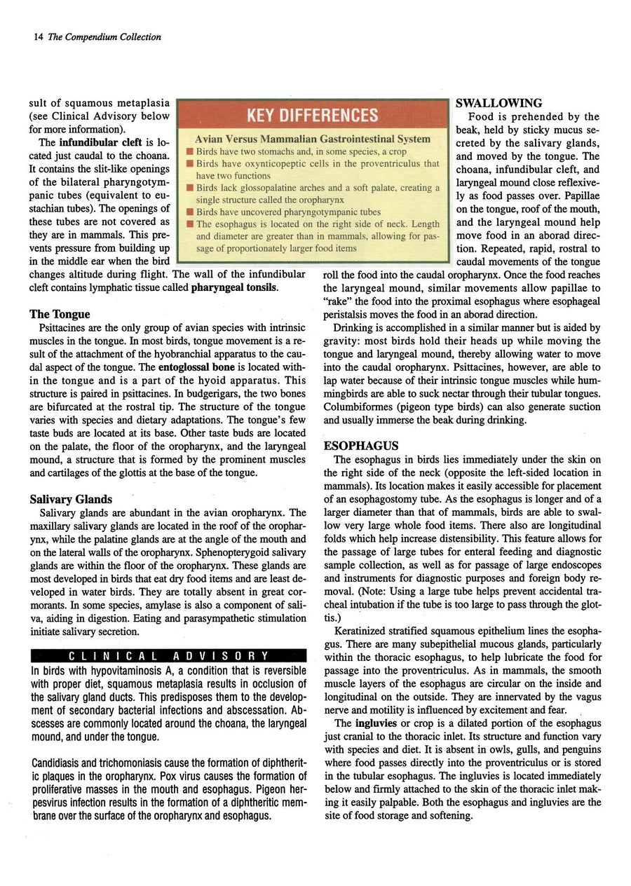 Preview page of Practical Avian Medicine: The Compendium Collection