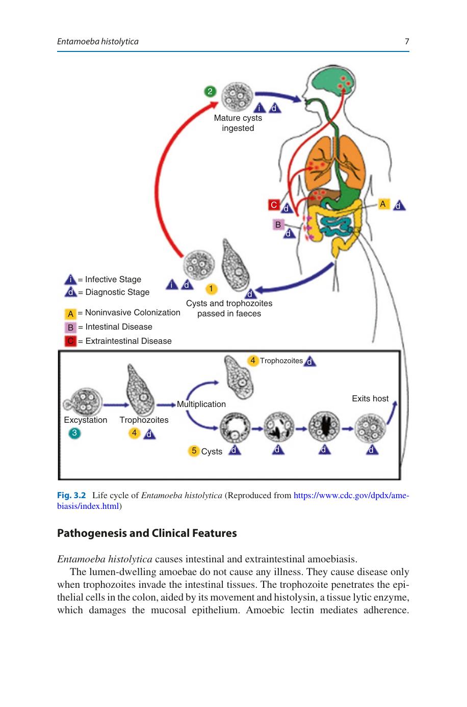 Medical Parasitology A Textbook