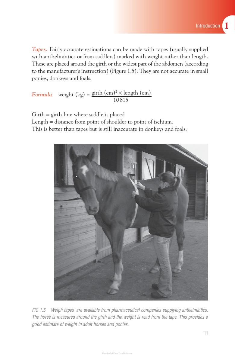 Handbook Of Equine Anaesthesia 2Nd