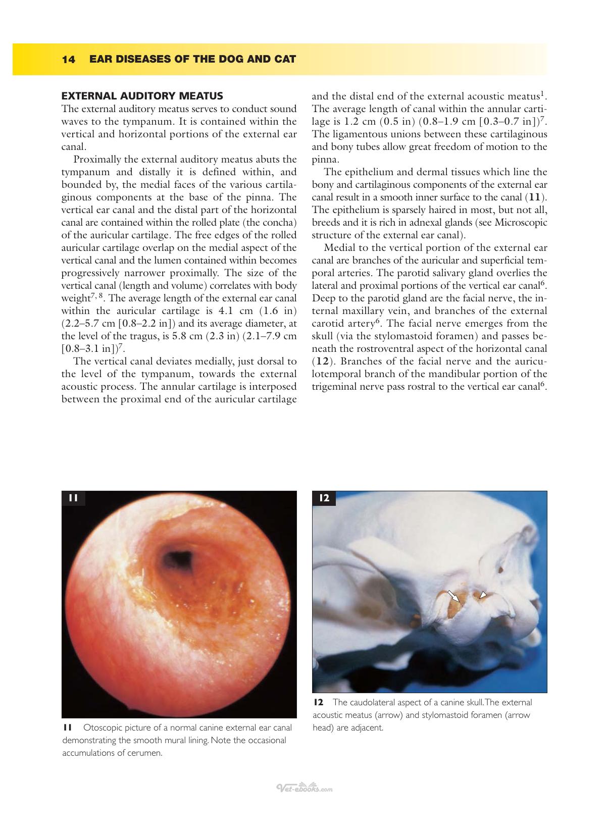 Ear Diseases Of The Dog And Cat