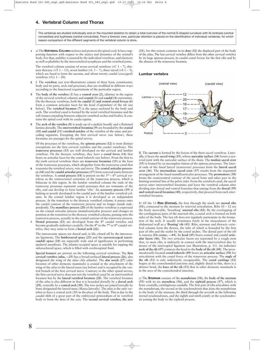 Preview page of Anatomy of the Dog (Budras)