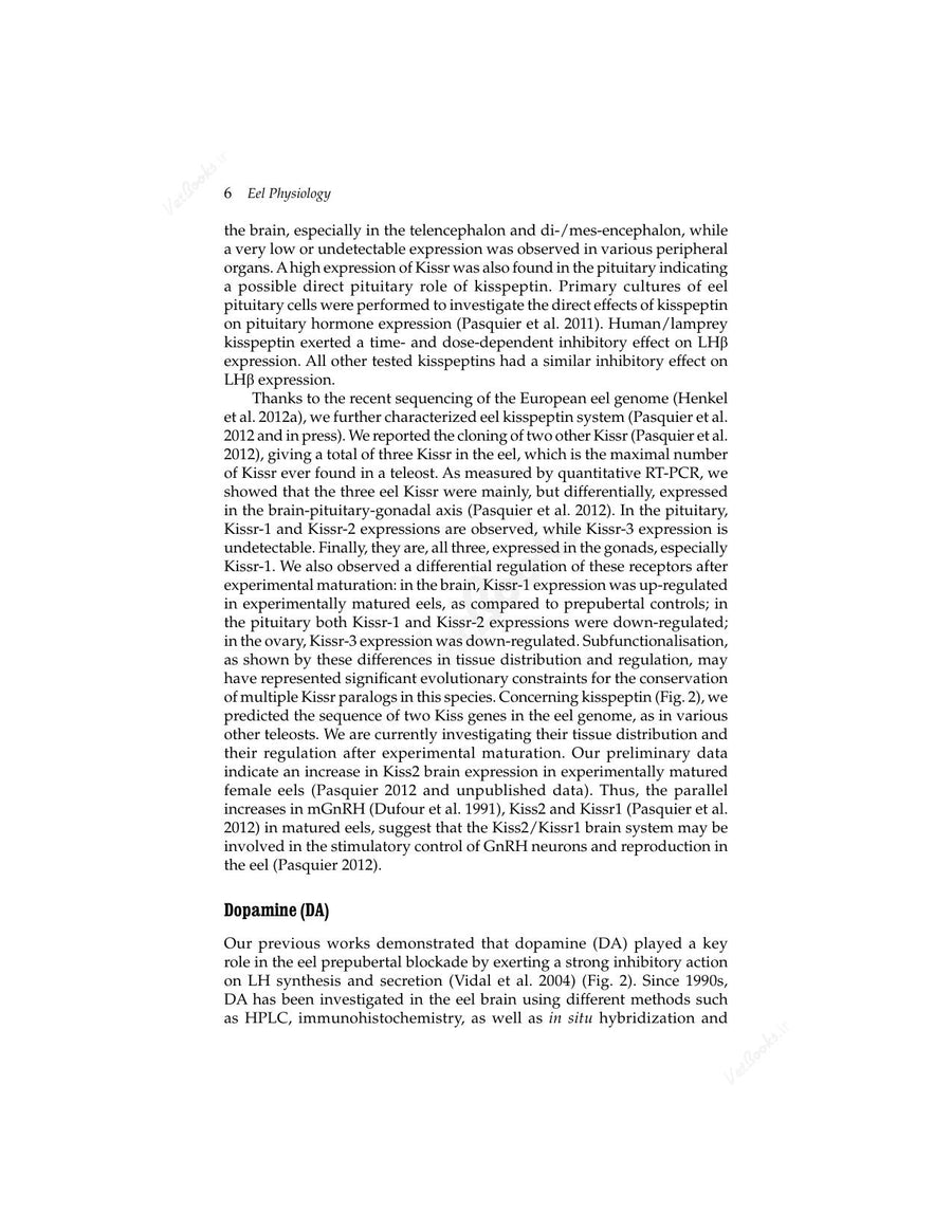 Preview page of Eel Physiology