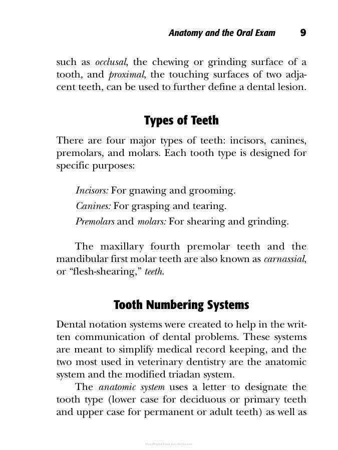 Small Animal Dentistry The Practical Veterinarian