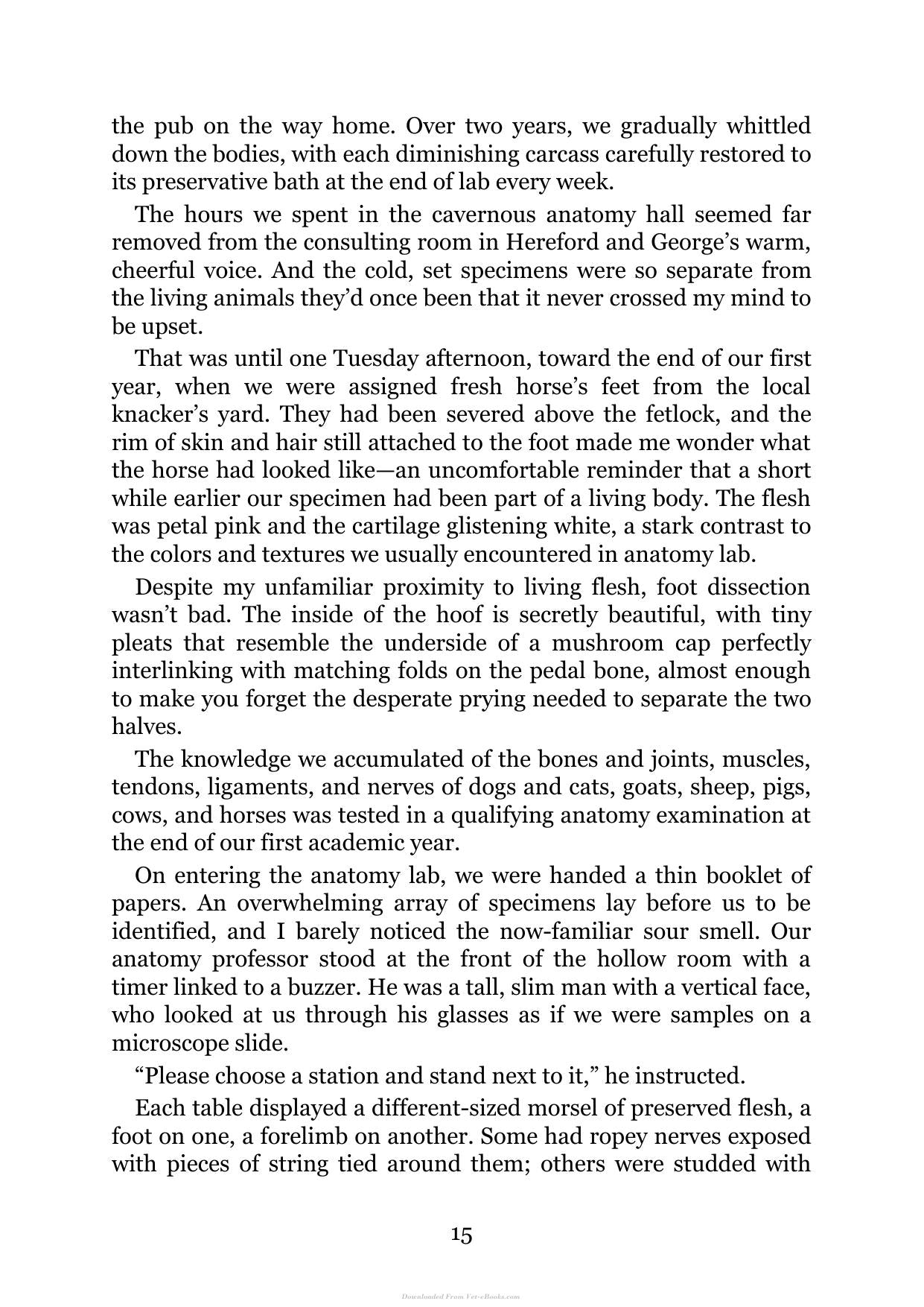 Look inside — page 15