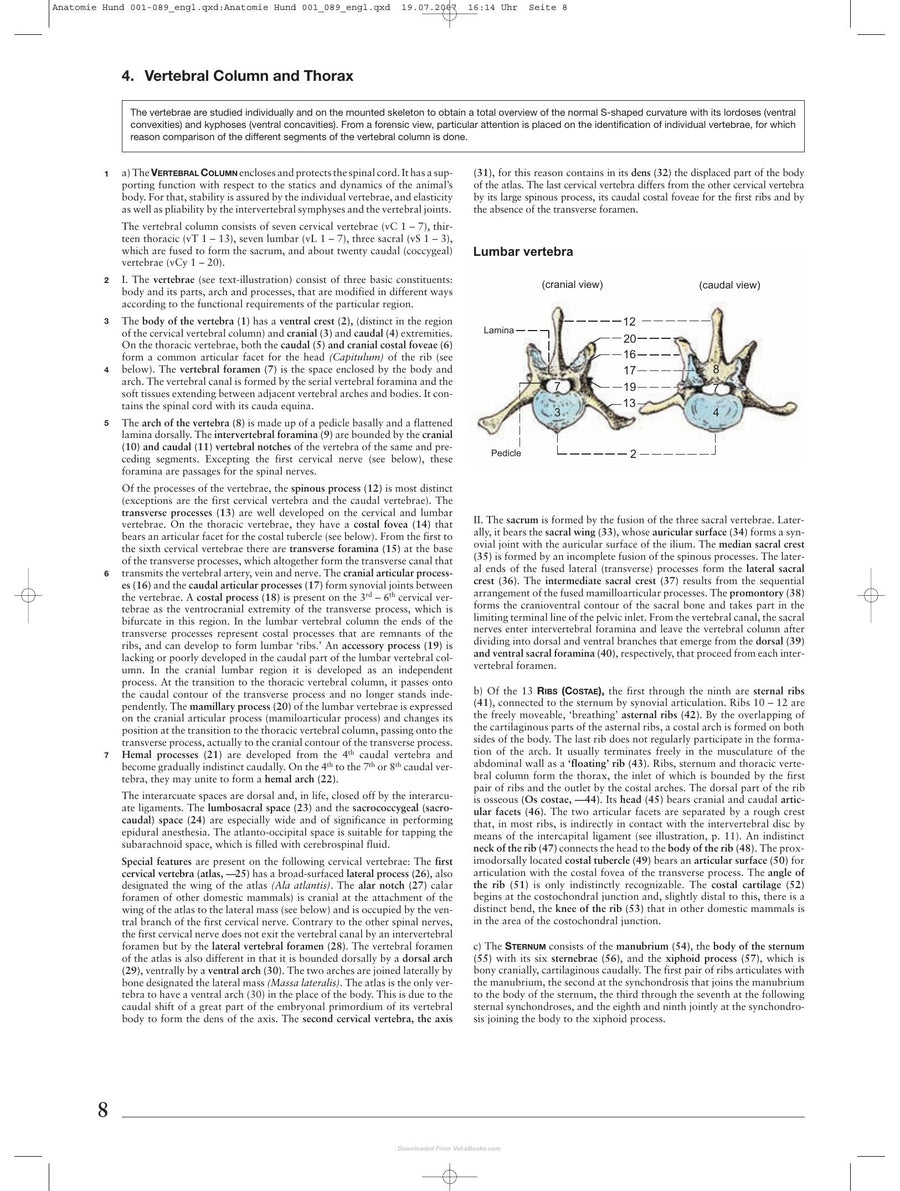 Preview page of Anatomy of the Dog an Illustrated Text 5th Edition