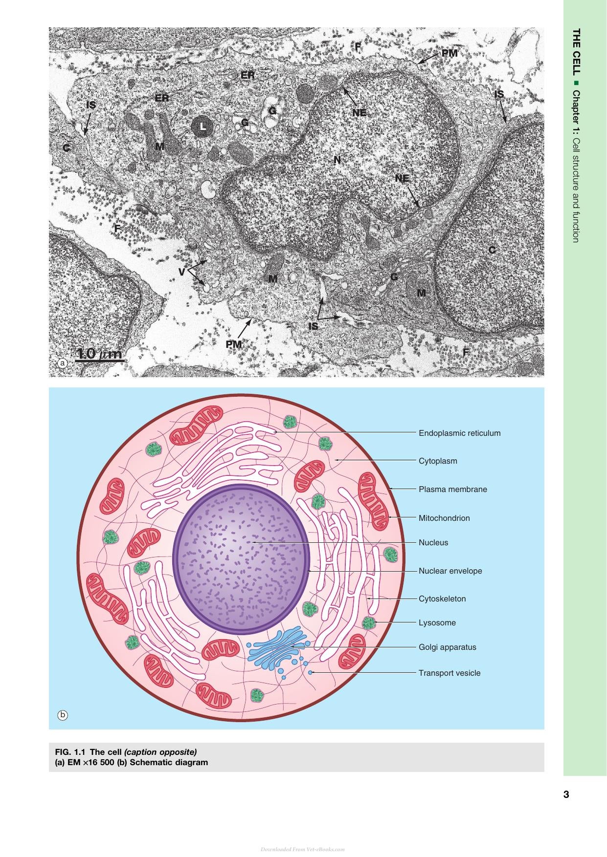 Look inside — page 15