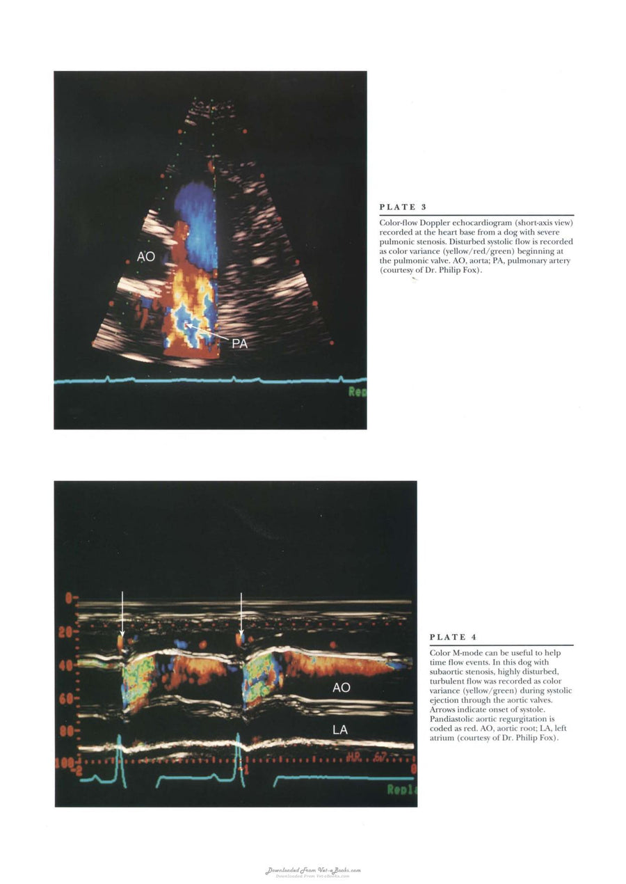 Preview page of Textbook of Canine and Feline Cardiology Principles and Clinical Practice 2nd Edition