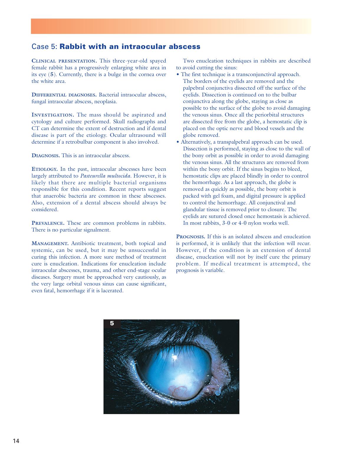 Look inside — page 15