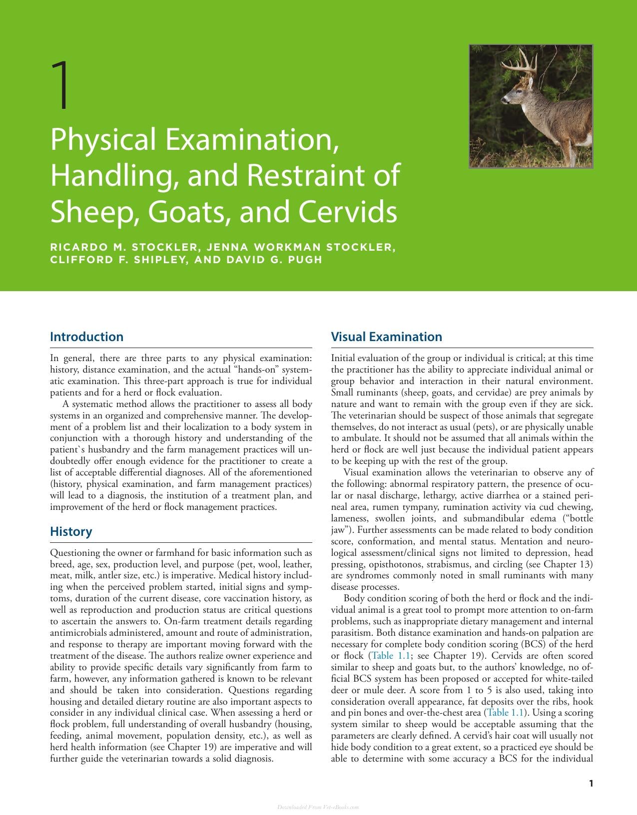 Sheep And Goat Medicine 3Rd Edition