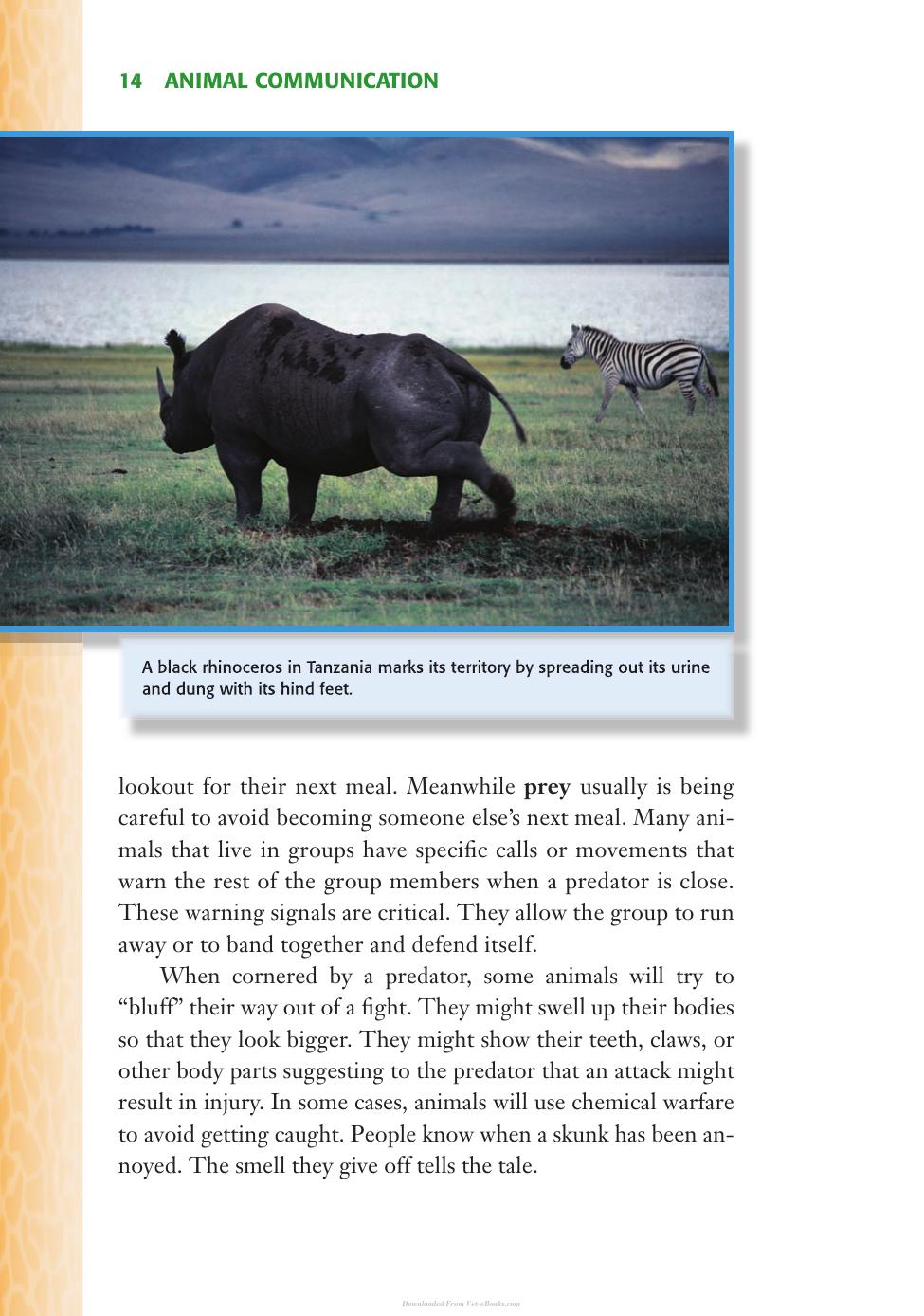 Animal Behavior Animal Communication