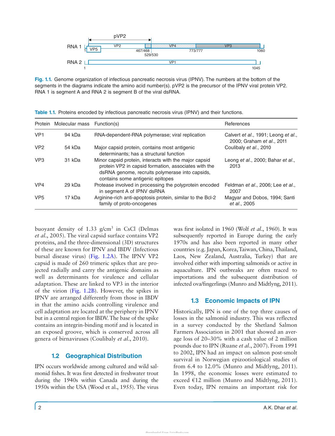 Fish Viruses And Bacteria Pathobiology And Protection