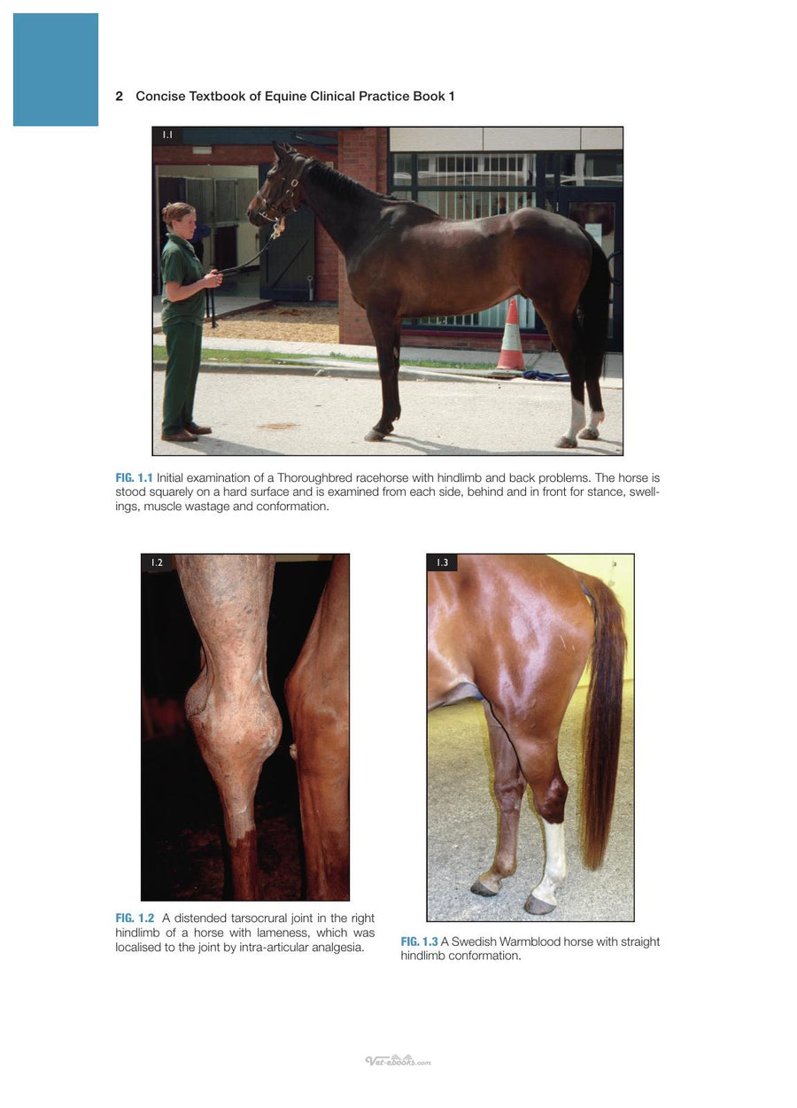 Preview page of Concise Textbook of Equine Clinical Practice Book 1 Lameness
