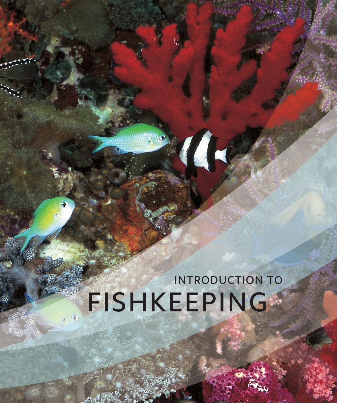 Encyclopedia Of Aquarium And Pond Fish