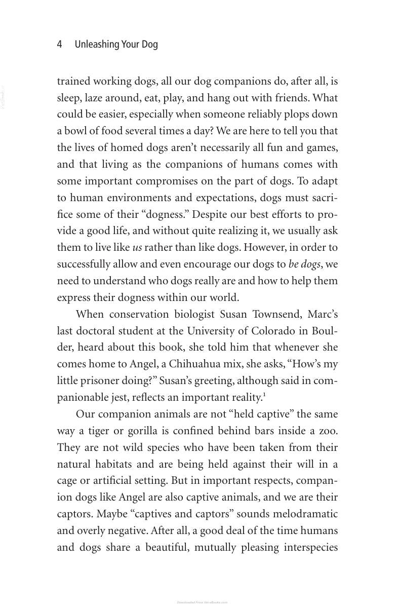Look inside — page 15