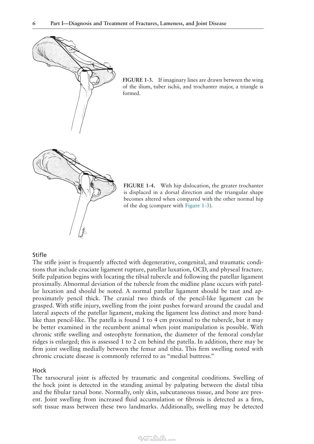 Look inside — page 15