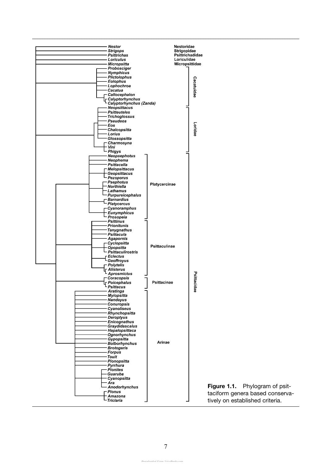 Manual Of Parrot Behavior