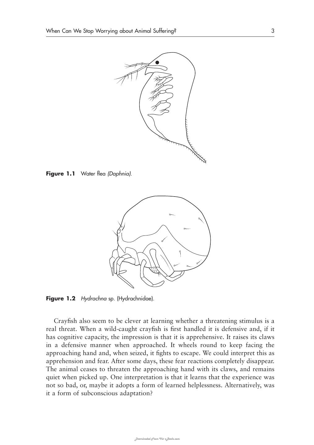 Physiology And Behaviour Of Animal Suffering