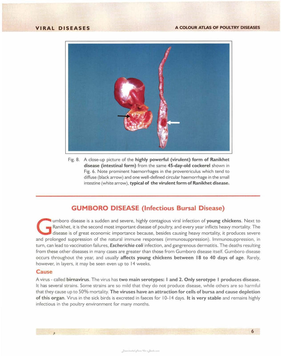 Preview page of A Colour Atlas of Poultry Diseases an Aid for Farmers and Poultry Professionals