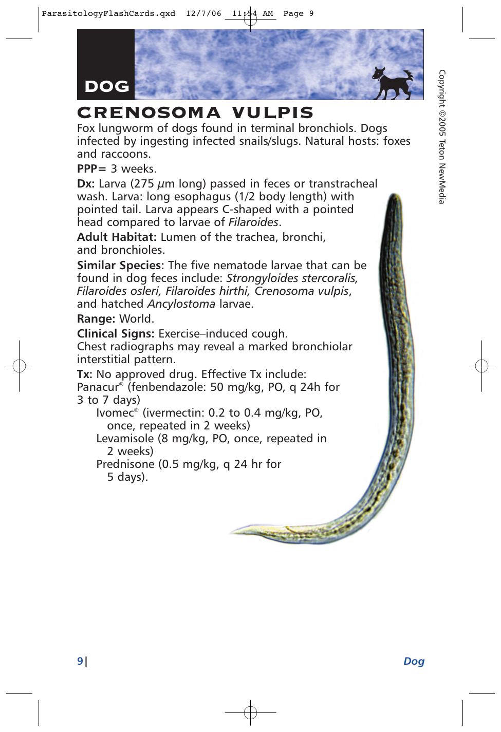 Parasitology Diagnosis And Treatment Of Common Parasitisms In Dogs And Cats