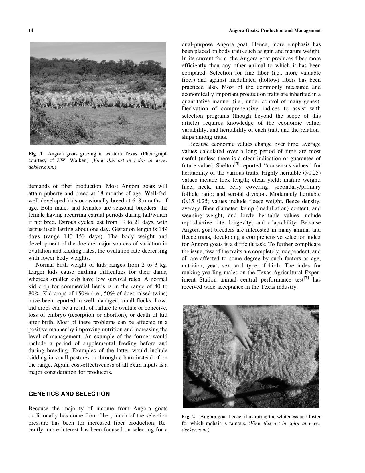 Look inside — page 15