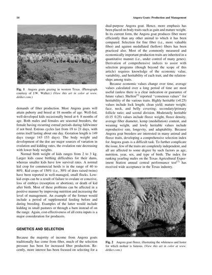 Look inside — page 15