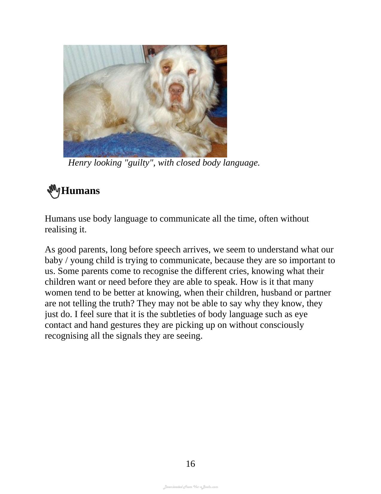 Understanding The Silent Communication Of Dogs