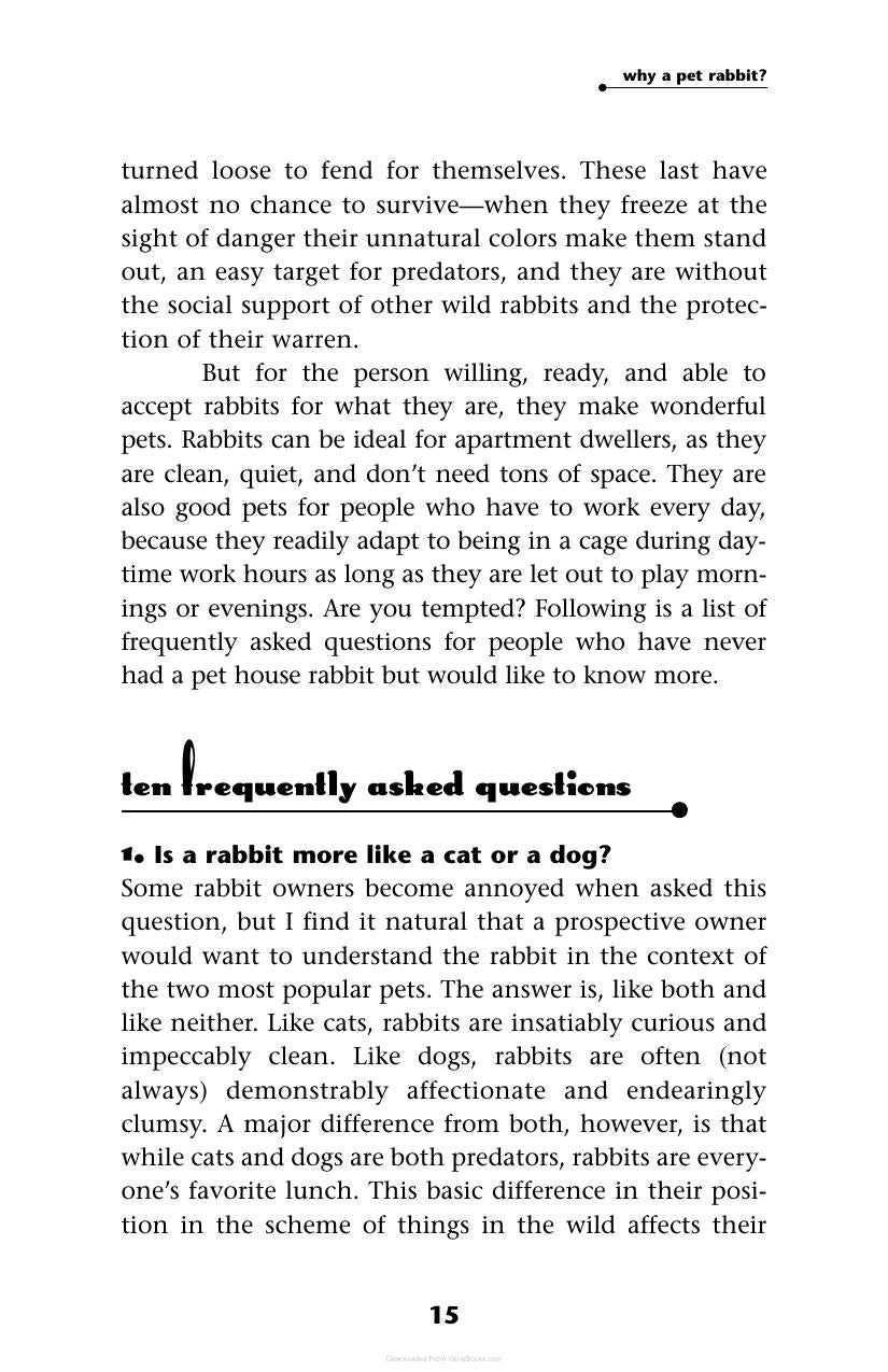 A House Rabbit Primer Understanding And Caring For Your Companion Rabbit
