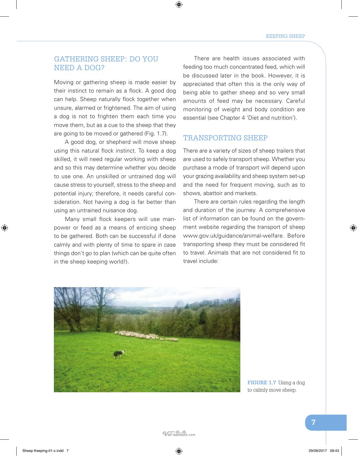 Sheep Keeping The Professional Smallholder Series
