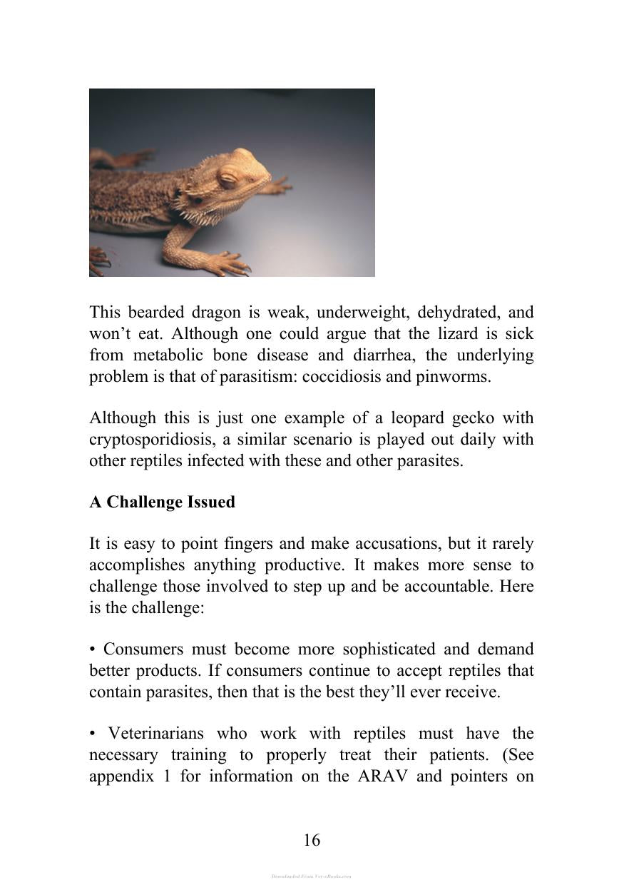 Look inside — page 16