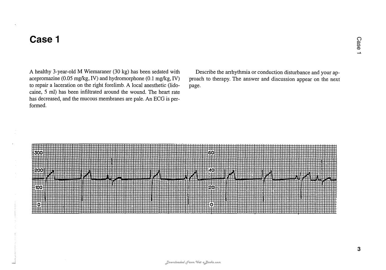 Ecg Interpretation In The Critically Ill Dog And Cat