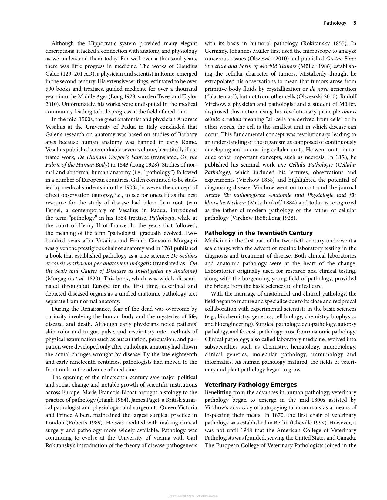 Diseases Of Coral