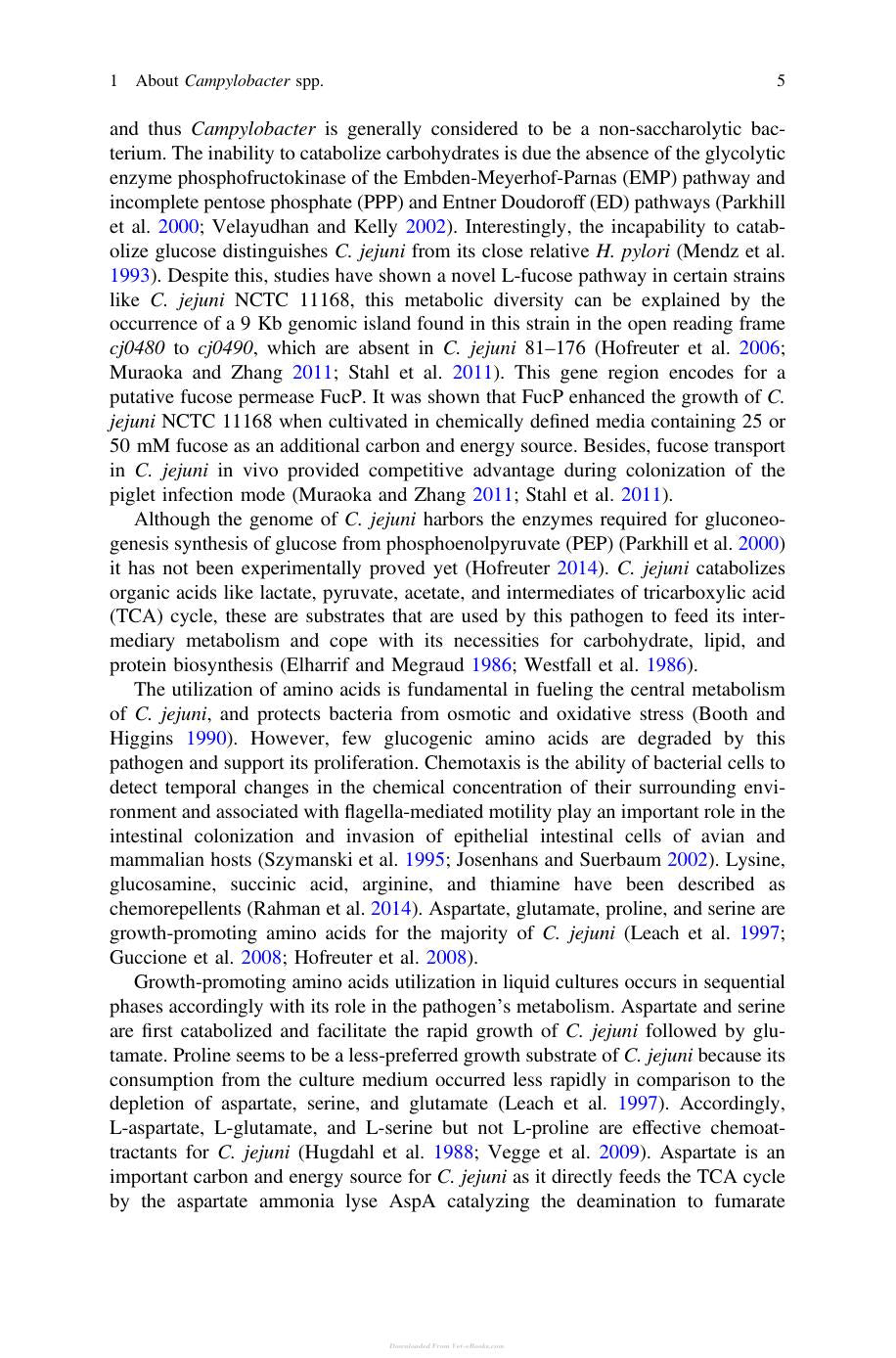 Campylobacter Spp And Related Organisms In Poultry