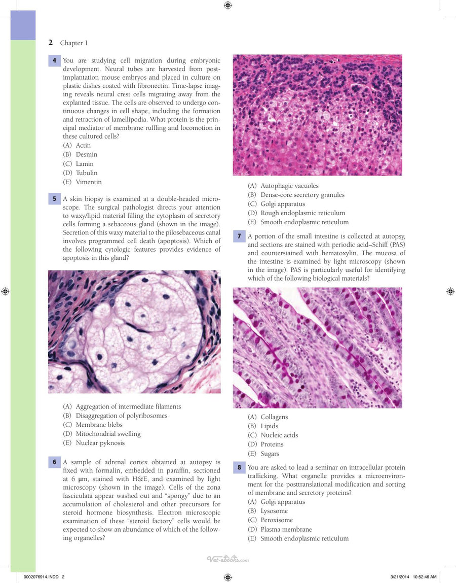 Preview page of Lippincotts Illustrated Qa Review of Histology