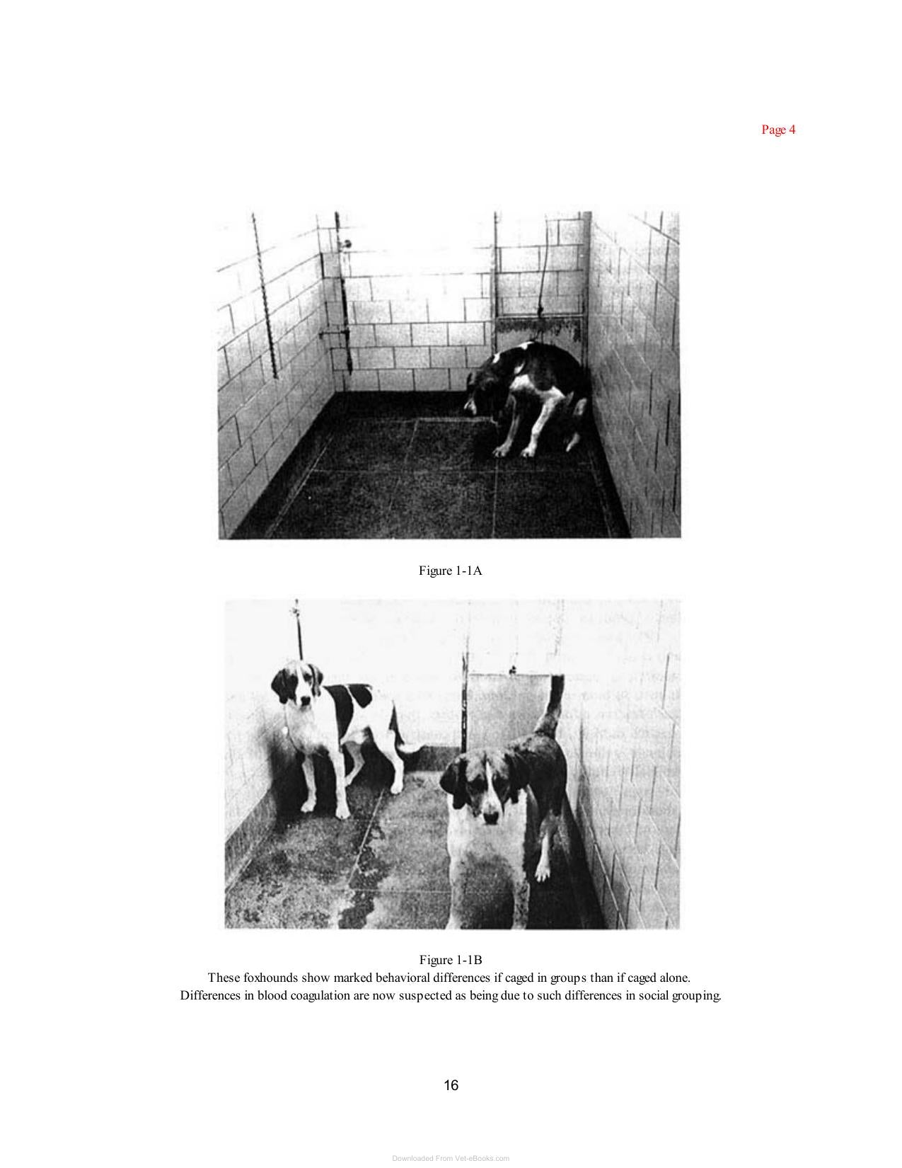Laboratory Animal Husbandry Ethology Welfare And Experimental Variables