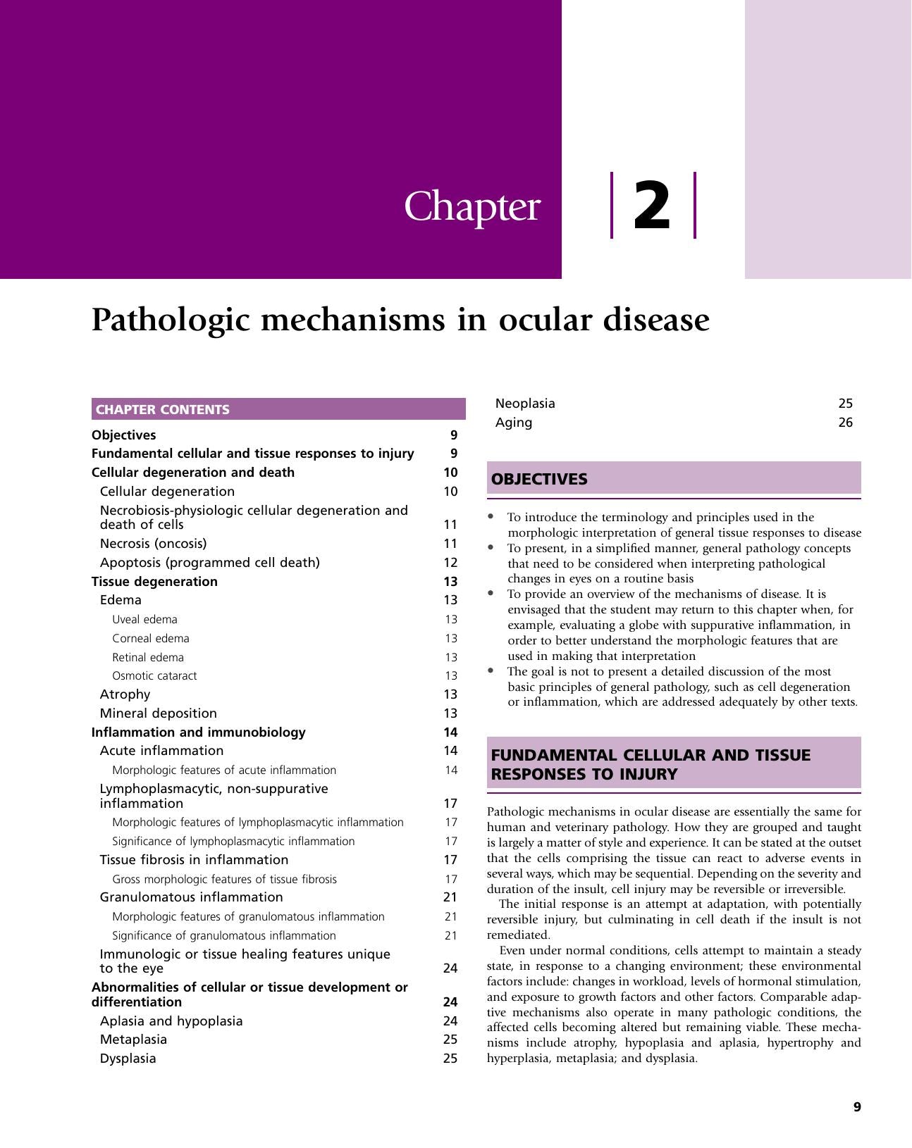 Veterinary Ocular Pathology A Comparative Review